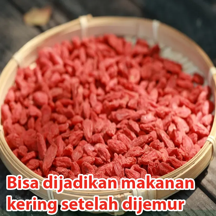 goji