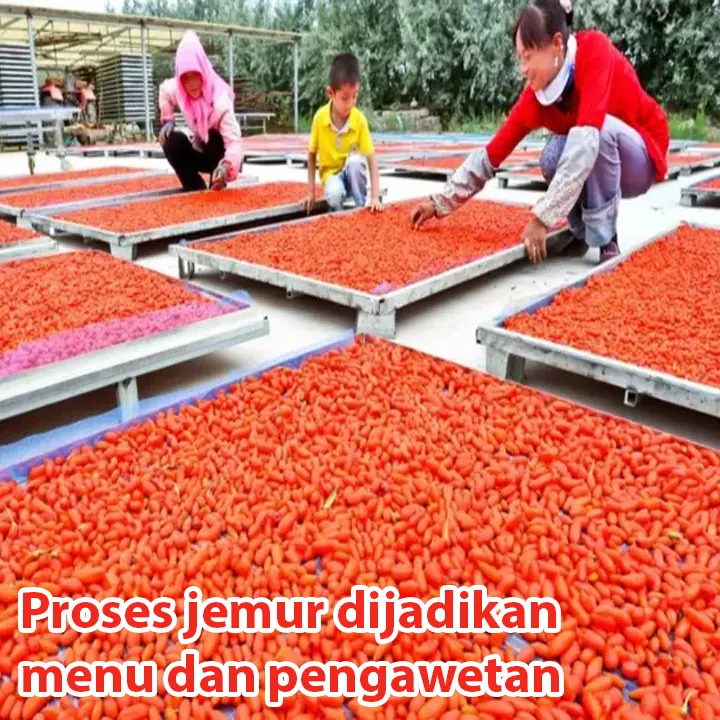 goji3