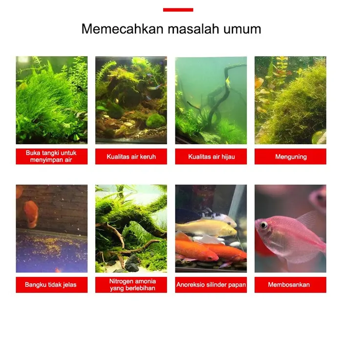 Penjernih air aquarium2