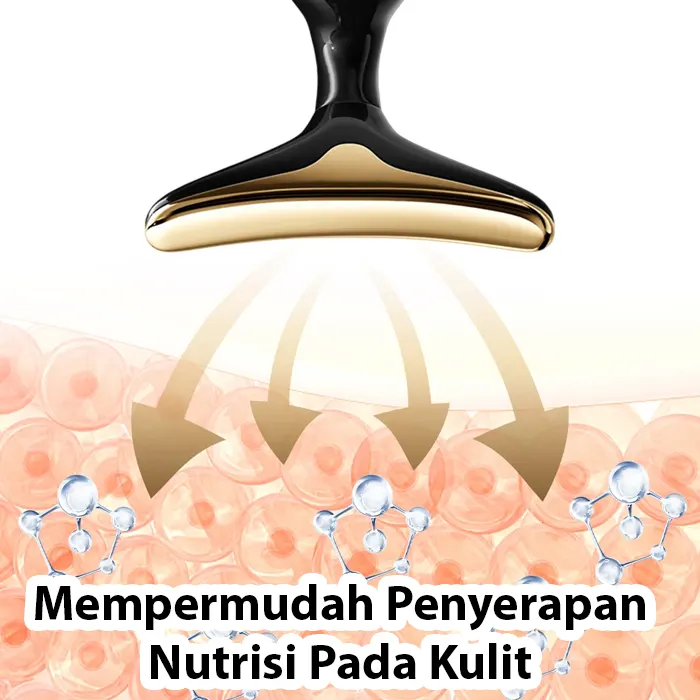 alat pijat wajah9