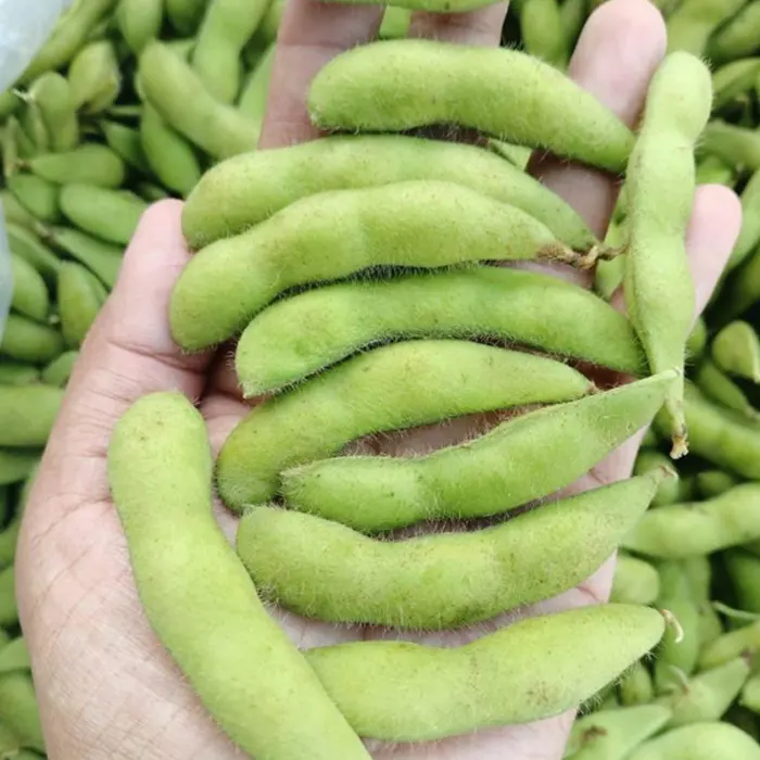 edamame5