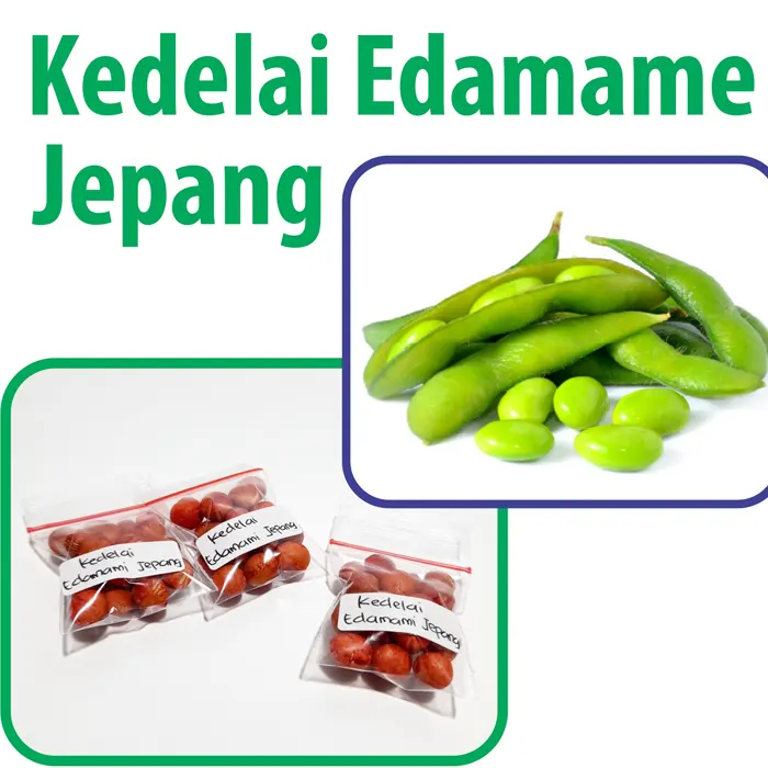 edamame8