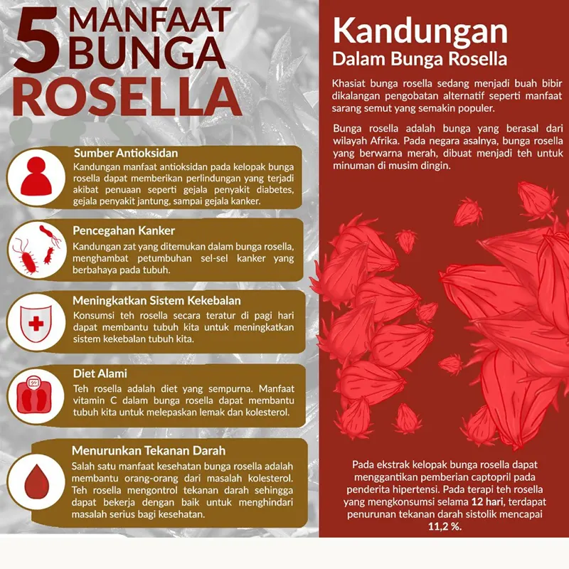 rosella5